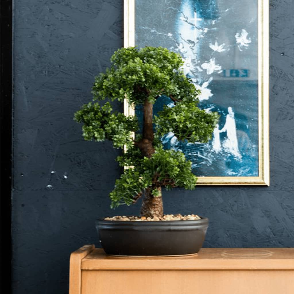 Mini bonsaï Ficus artificiel sur plaque marronne 43 cm