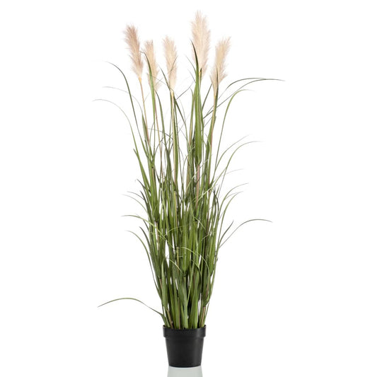 Emerald Herbe de pampa artificielle avec pot 160 cm