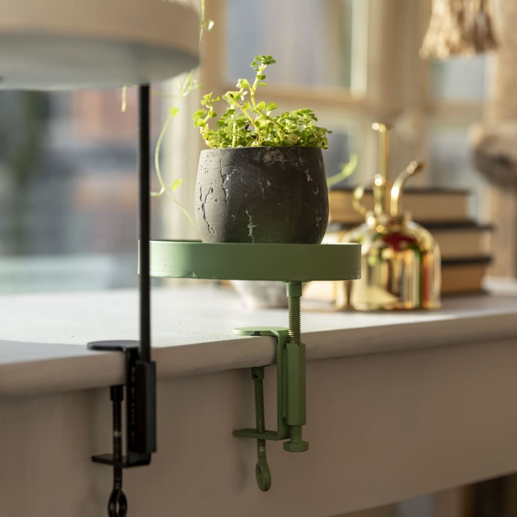 Esschert Design Plateau pour plantes avec pince rond vert S