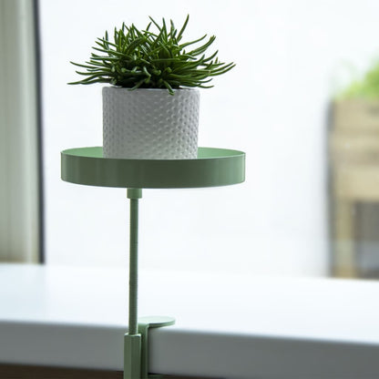 Esschert Design Plateau pour plantes avec pince rond vert S