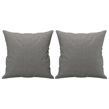 Coussins décoratifs lot de 2 Gris foncé 40x40 cm Tissu