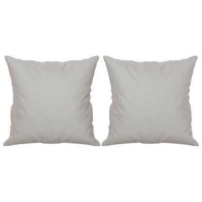 Coussins décoratifs lot de 2 Gris clair Tissu microfibre