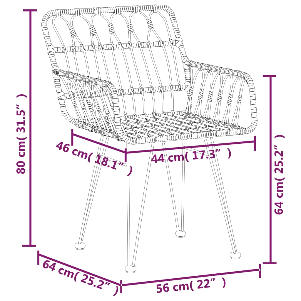 Chaises de jardin lot de 2 avec accoudoir Noir 56x64x80 cm