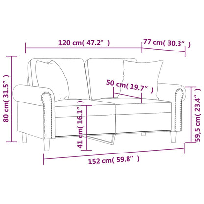 Canapé 2 places avec oreillers gris clair 120 cm velours