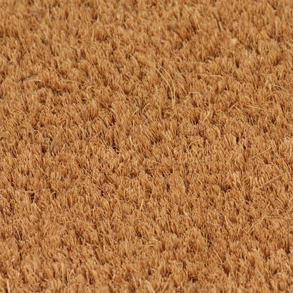 Tapis de porte 2 pcs naturel 40x60 cm fibre de coco touffeté