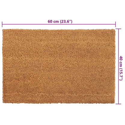 Tapis de porte 2 pcs naturel 40x60 cm fibre de coco touffeté