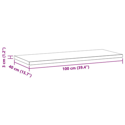 Étagères murales 2 pcs 100x40x3 cm argenté acier inoxydable