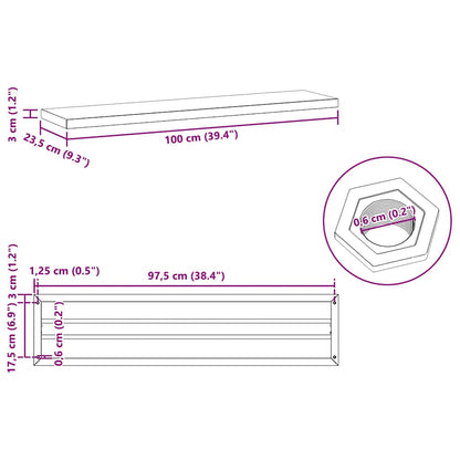 Étagères murales 2 pcs 100x23,5x3 cm argenté acier inoxydable