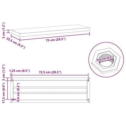 Étagères murales 2 pcs 75x23,5x3 cm argenté acier inoxydable