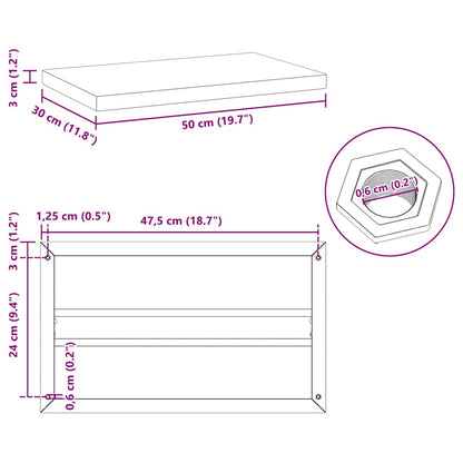 Étagères murales 2 pcs 50x30x3 cm argenté acier inoxydable