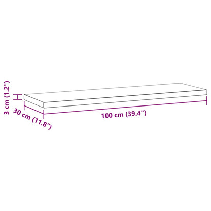 Étagères murales 2 pcs 100x30x3 cm noir acier inoxydable