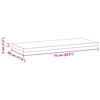 Étagères murales 2 pcs 75x30x3 cm noir acier inoxydable