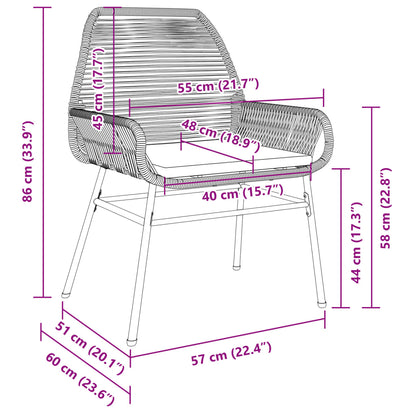 Chaises de jardin lot de 2 et coussins marron rotin