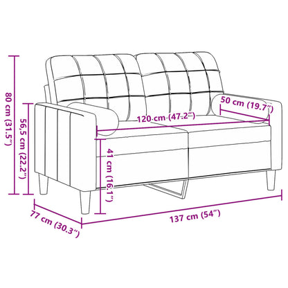 Canapé 2 places avec oreillers décoratifs noir 120 cm velours