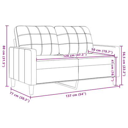 Ensemble de canapés 2 pcs avec coussins Gris clair Velours