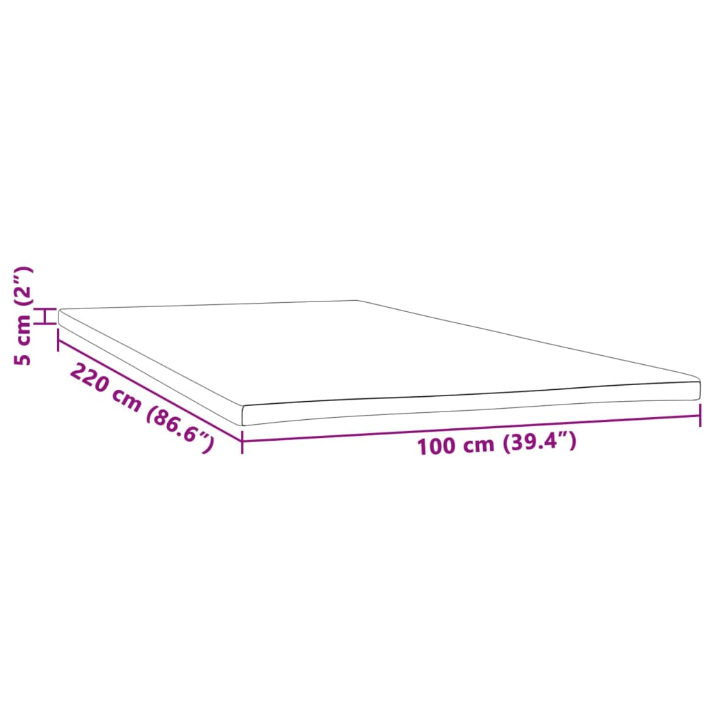 Sur-matelas 100x220x5 cm