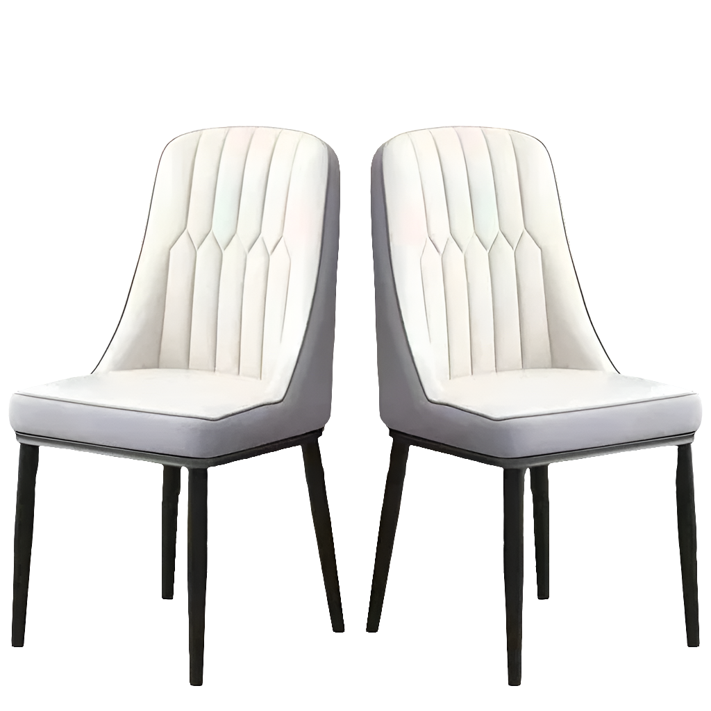 Lot de 2 chaises